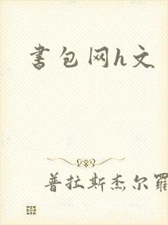 书包网h文