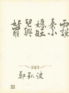 好儿媳秦雨罗明罗兴旺小说