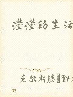 滢滢的生活日记封面
