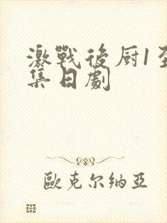 激战后厨1至5集日剧