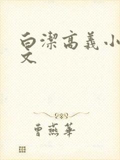 白洁高义小说全文封面