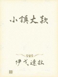 小镇大款