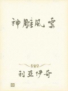 神雕风云封面