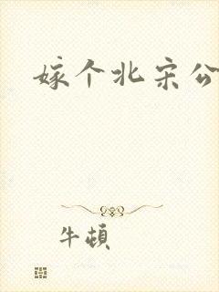 嫁个北宋公务员