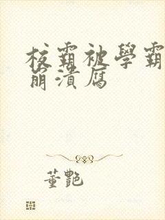校霸被学霸玩到崩溃腐封面