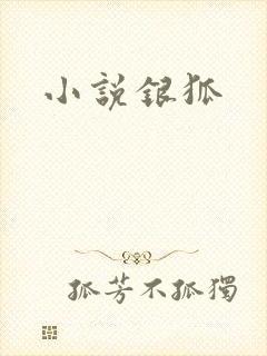 小说银狐