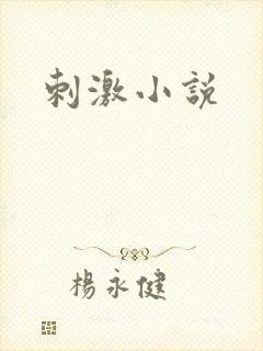 刺激小说
