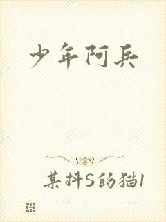 少年阿兵