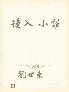 后入 小说