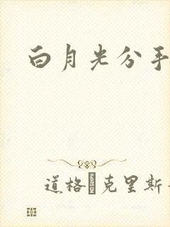 白月光分手日常
