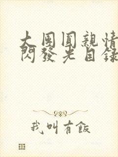 大团圆亲情会闪闪发光目录封面