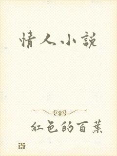情人小说