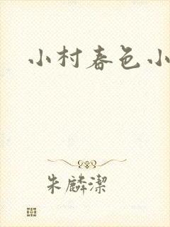 小村春色小说封面