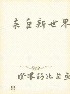 来自新世界小说封面