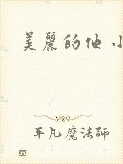 美丽的他 小说