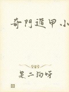 奇门遁甲小说封面