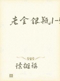 老金银瓶1-5
