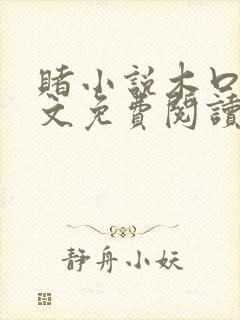 赌小说木口银全文免费阅读笔趣阁