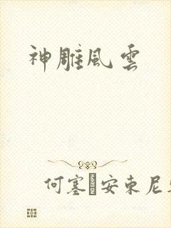 神雕风云