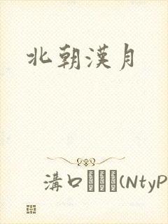 北朝汉月封面