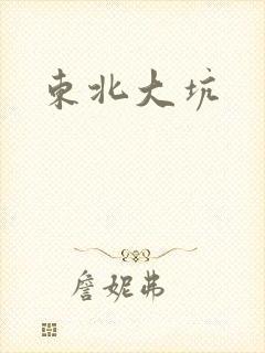东北大坑封面