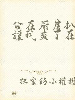 公在厨房扒开腿让我爽了在线观看