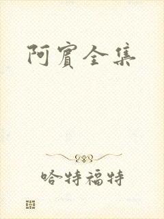 阿宾全集