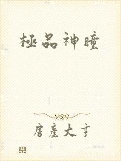 极品神瞳