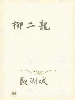 柳二龙封面