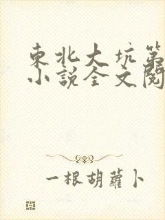东北大坑第二部小说全文阅读