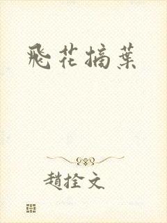 飞花摘叶