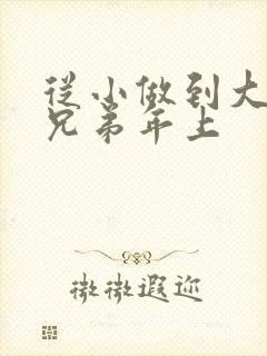 从小做到大骨科兄弟年上封面