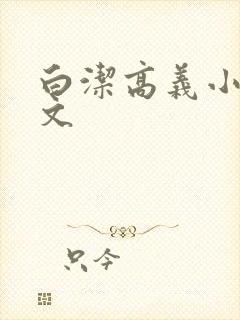 白洁高义小说全文