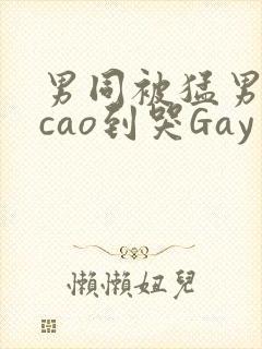 男同被猛男房东cao到哭Gay