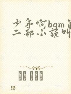 少年啊bgm第二部小说叫什么