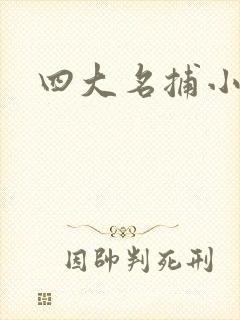 四大名捕小说