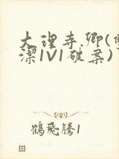大理寺.卿(双洁1V1破案)