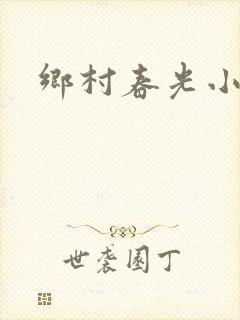 乡村春光小说
