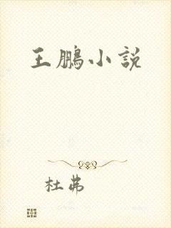 王鹏小说