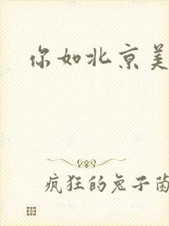 你如北京美丽