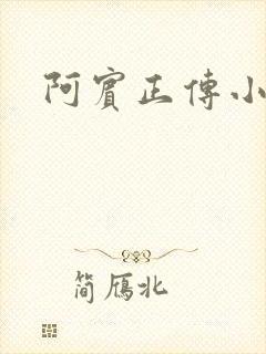 阿宾正传小说