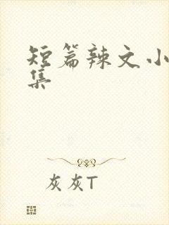 短篇辣文小说合集