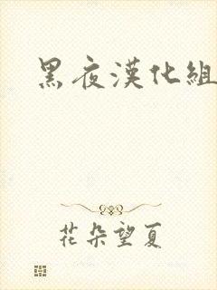 黑夜汉化组