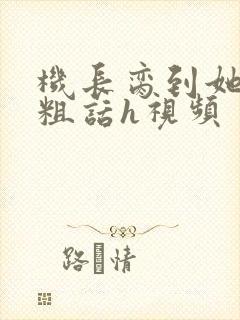 机长脔到她哭h粗话h视频