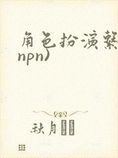 角色扮演系统(npn)