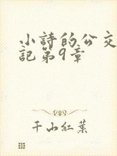 小诗的公交车日记第9章