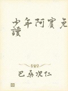 少年阿宾免费阅读封面