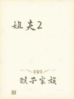 姐夫2封面