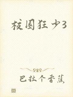 校园狂少3封面