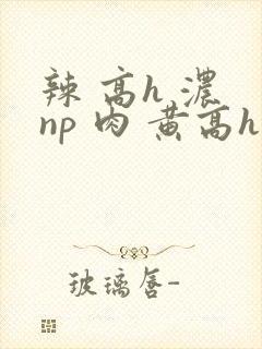 辣 高h 浓 np 肉 黄高h